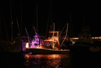 DSC_2458 (Large).JPG